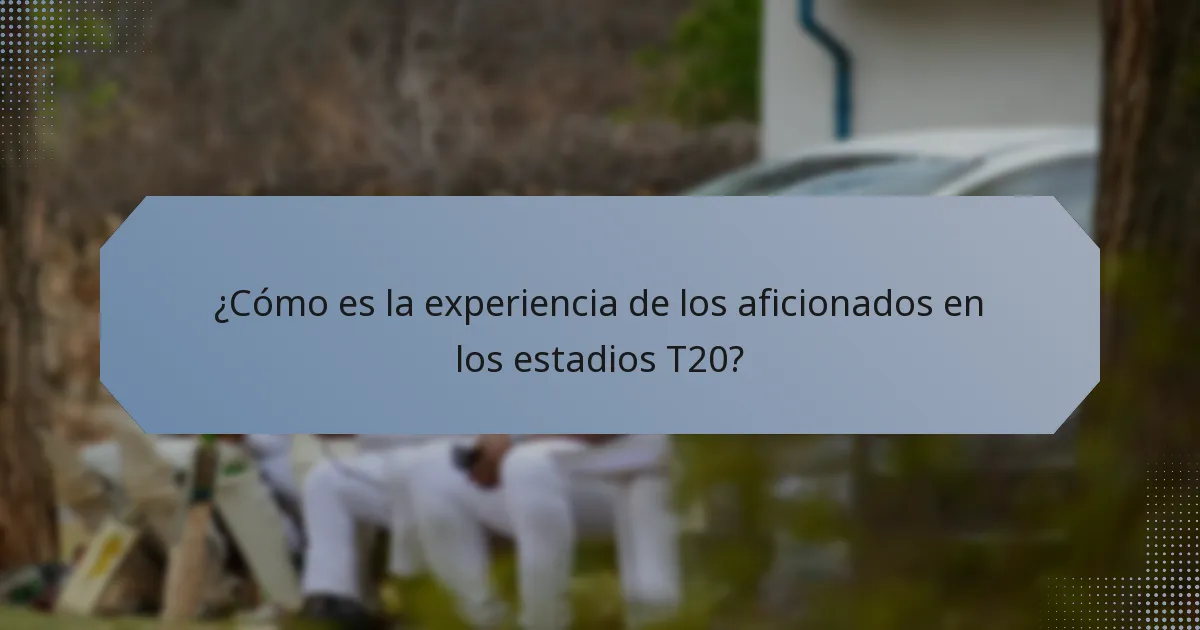 ¿Cómo es la experiencia de los aficionados en los estadios T20?