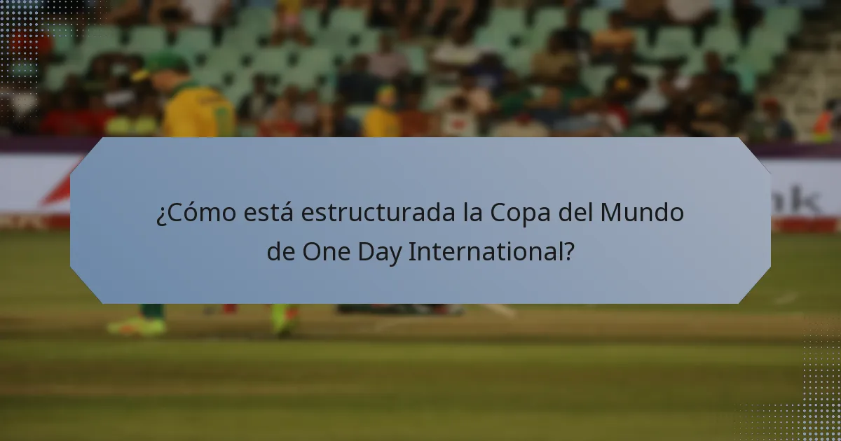 ¿Cómo está estructurada la Copa del Mundo de One Day International?