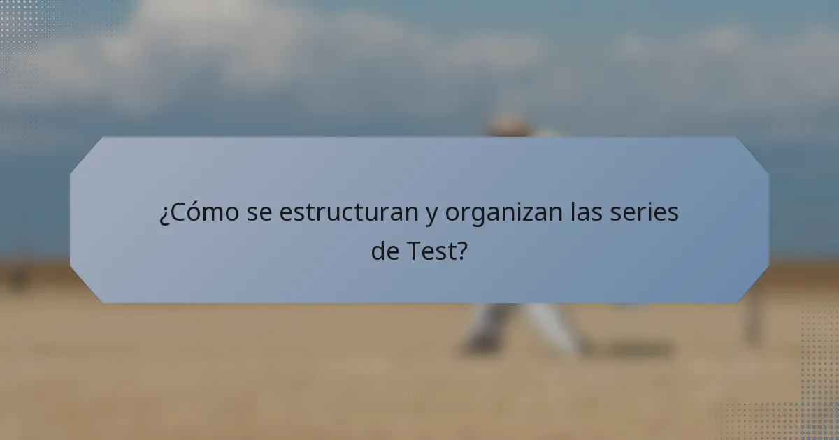 ¿Cómo se estructuran y organizan las series de Test?