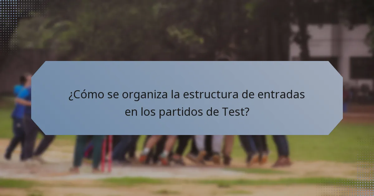 ¿Cómo se organiza la estructura de entradas en los partidos de Test?