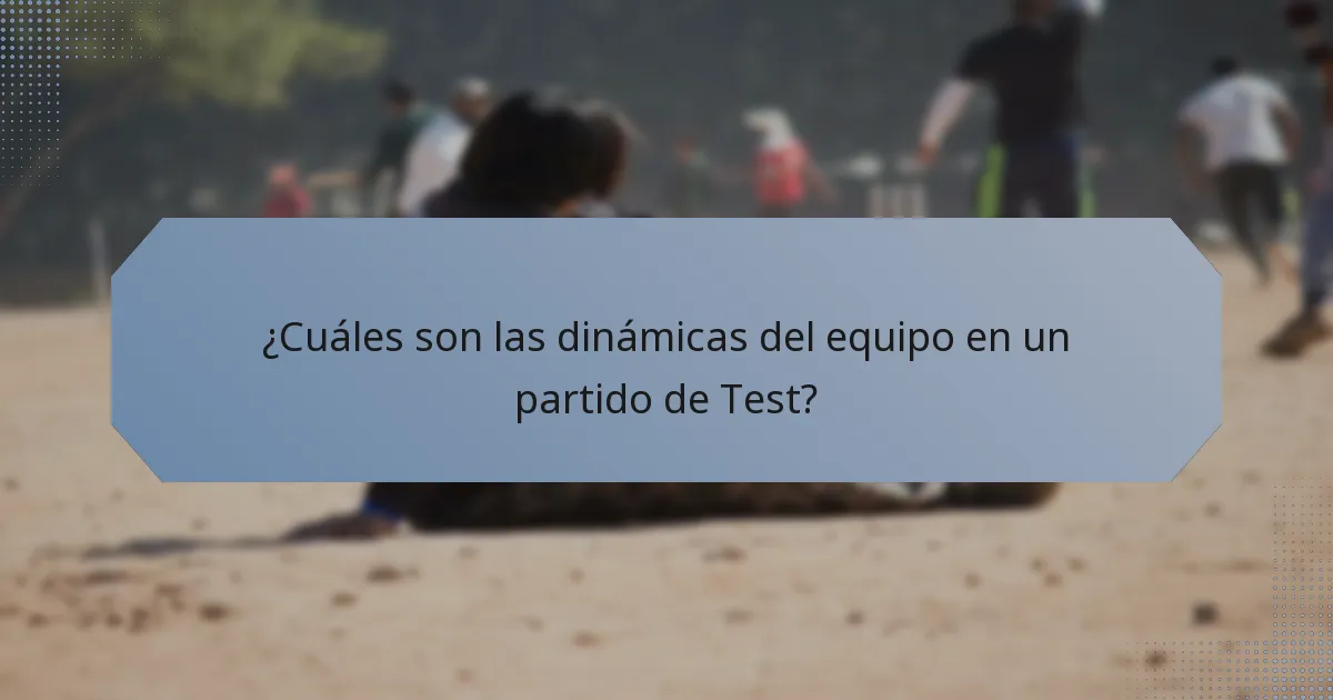 ¿Cuáles son las dinámicas del equipo en un partido de Test?