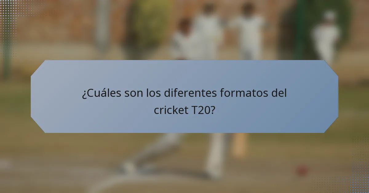 ¿Cuáles son los diferentes formatos del cricket T20?