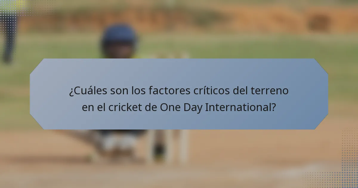 ¿Cuáles son los factores críticos del terreno en el cricket de One Day International?
