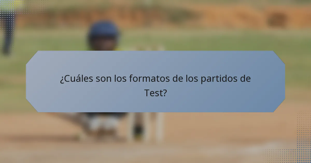 ¿Cuáles son los formatos de los partidos de Test?