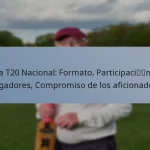 Liga T20 Nacional: Formato, Participación de jugadores, Compromiso de los aficionados