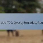 Partido T20: Overs, Entradas, Reglas