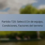 Partido T20: Selección de equipo, Condiciones, Factores del terreno