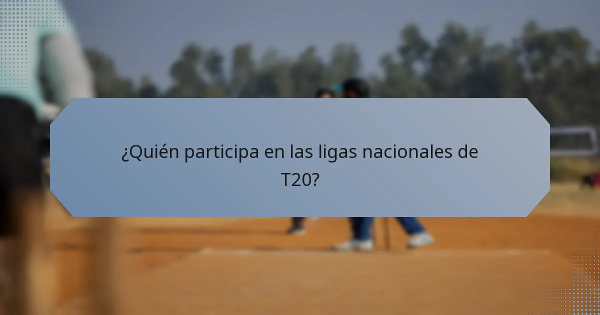 ¿Quién participa en las ligas nacionales de T20?